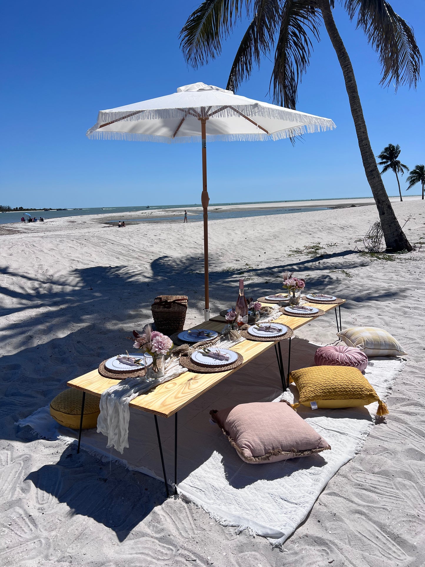 Perfect Picnic on the Beach